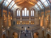 My Favourite Place - London Natural History Museum 
