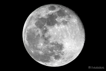 My first image i took of the full moon I only have a mm lens so this is the best i could get What do you guys think