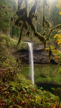 My girlfriend described the landscapes of the northwest best its like you walked onto the pages of Tolkien SILVER FALLS SP OR 