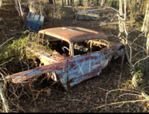 My grandfathers abandoned race car in tennessee 
