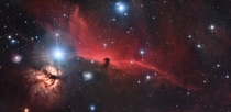 My  hour exposure of the Horsehead and Flame Nebula from my backyard 