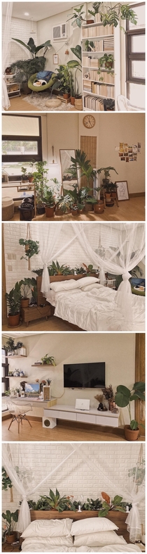 My jungle bedroom  Heres to more plants this  