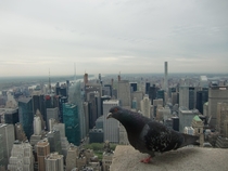 My own birds eye view from the Empire State Building