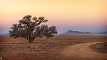 Namib Desert Namibia - 