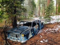 Nash Automobile in the Forest near Lake Tahoe California