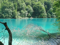 National park Plitvice Lakes Croatia 