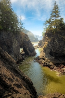 Natural Bridges Oregon Coast 