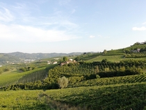 Natural wine in Monferrato northern Italy
