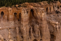 Nature carving a cathedral  Bryce NP Utah its more than just hoodoos