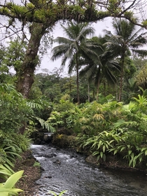 Nature Costa Rica