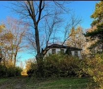 Nature is Reclaiming this Abandoned Farmhouse in Ohio