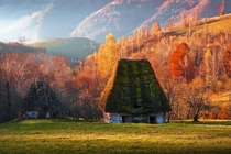 Nature reclaiming abandoned cottages in the Transylvanian mountains  Adrian Munteanu 