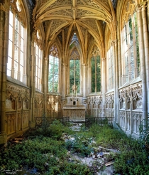Nature Reclaiming an Abandoned French Church