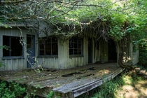 Nature reclaiming an abandoned house in Seabeck WA