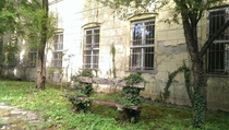 Nature reclaims a bench at an abandoned psychiatric hospital in Budapest 