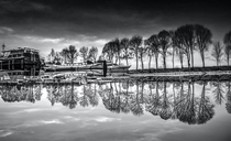 Nature reflection - Nevers France  Nikon D - Tamron -mm  Insta streetrealityphotography