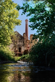 Nature taking over this abandoned paper factory
