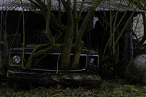 Nature waits for no one abandoned car Chevy Corvair in Belgium 