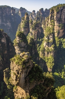 Natures Skyscrapers My favorite picture from last Years Zhangjiajie China trip 