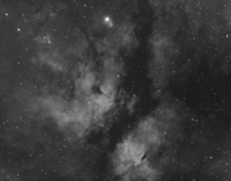 Nebula In Cygnus