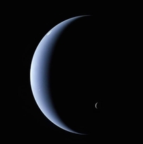Neptune and its tiny moon Triton captured by Voyager  
