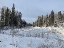 Nesslin Lake Saskatchewan Canada 