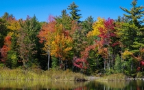 New England Autumn Ossipee NH 