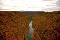 New River Gorge West Virginia Fall Foliage 
