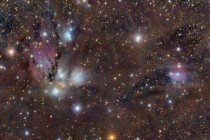 NGC   Celestial Still Life 