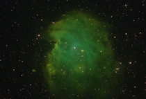 NGC The Monkey Head Nebula