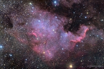 NGC  - The North America Nebula