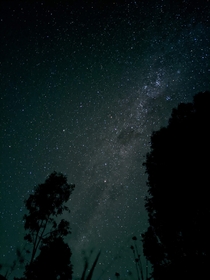 Night sky in Australia Watagans National Park 