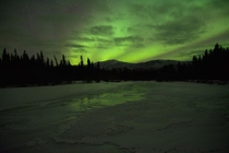 Night sky view over the frozen Chena River from the Angel Rocks Trail near Fairbanks Alaska 