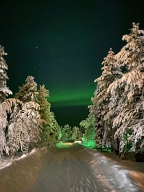 Northern Lights in Levi Northern Finland 