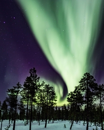 Northern Lights seen from Jukkasjrvi Sweden 