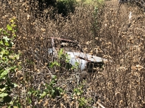 Nothing amazing just a abandoned Lincoln at the end of my long weekend hiking trail