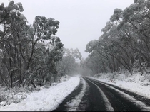 November in Mount Baw Baw Australia