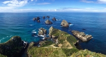 Nugget Point South Island New Zealand 