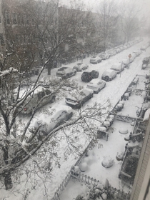 NYC Winter Storm Day 