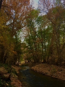 Oak creek in Sedona AZ 