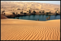Oasis in the Sahara Desert 