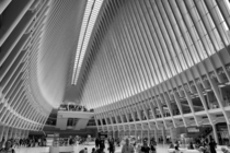 Oculus World Trade Centre NYC Santiago Calatrava 
