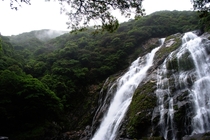 Oko-no-Taki falls Yakushima Japan 