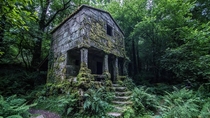 Old abandoned house in the forest 