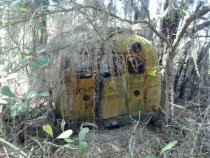 Old Abandoned School Bus x