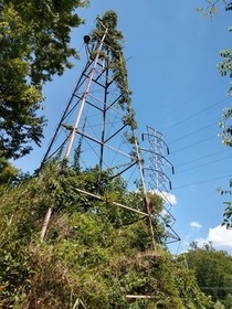 Old and New Pylons