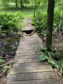 Old bridge on a trail