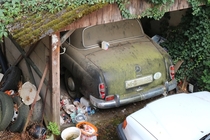 Old car in a backyard