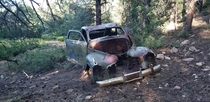 Old Car In Wilderness