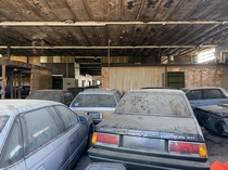 Old cars I found in an abandoned building